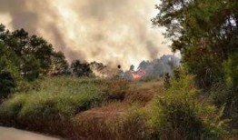 桂平最新爆料事件视频,视频揭露惊人真相！